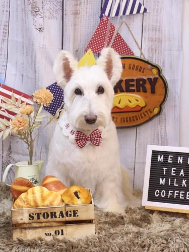 20240914ムーミンくん